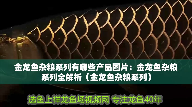 金龍魚雜糧系列有哪些產品圖片：金龍魚雜糧系列全解析（金龍魚雜糧系列）