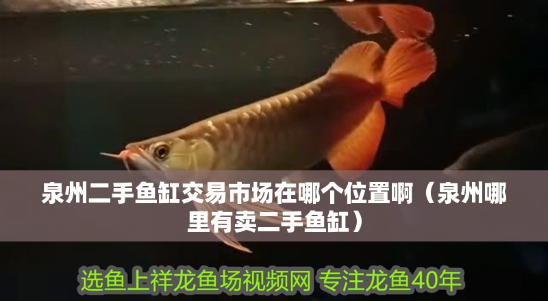 泉州二手魚缸交易市場在哪個位置啊（泉州哪里有賣二手魚缸）