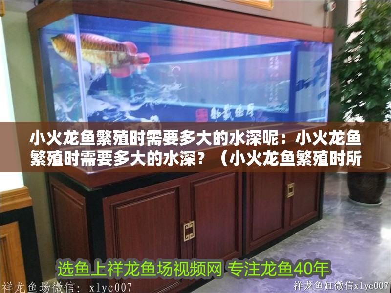 小火龍魚繁殖時需要多大的水深呢：小火龍魚繁殖時需要多大的水深？（小火龍魚繁殖時所需的水深）