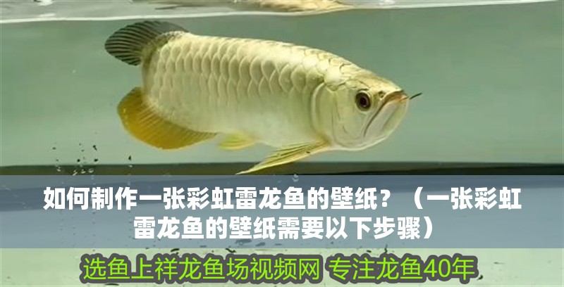如何制作一張彩虹雷龍魚的壁紙？（一張彩虹雷龍魚的壁紙需要以下步驟）