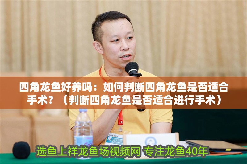 四角龍魚好養(yǎng)嗎：如何判斷四角龍魚是否適合手術(shù)？（判斷四角龍魚是否適合進(jìn)行手術(shù)）