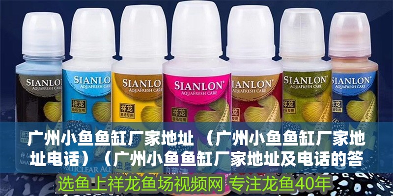 廣州小魚魚缸廠家地址 （廣州小魚魚缸廠家地址電話）（廣州小魚魚缸廠家地址及電話的答案和答案和答案和解釋）