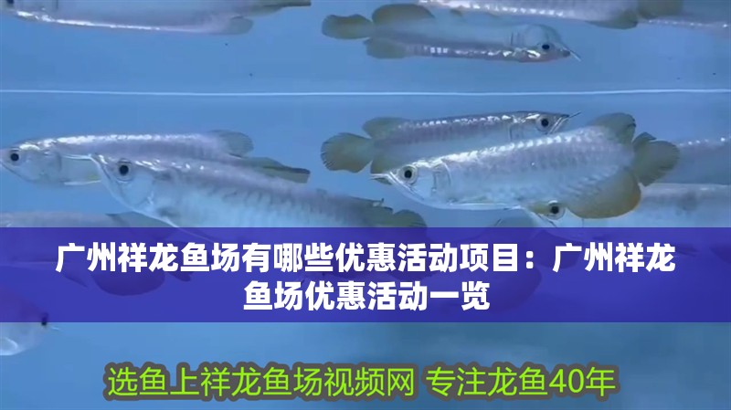 廣州祥龍魚場有哪些優惠活動項目：廣州祥龍魚場優惠活動一覽