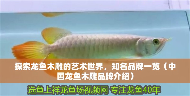探索龍魚木雕的藝術世界，知名品牌一覽（中國龍魚木雕品牌介紹）
