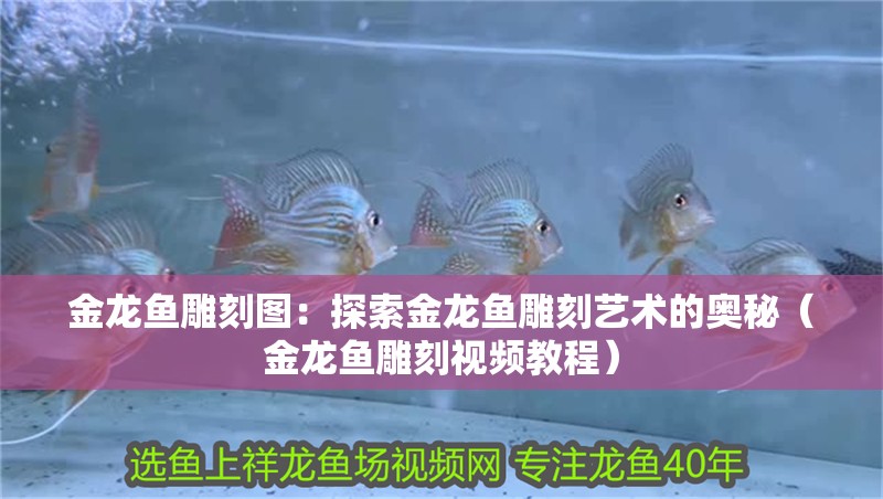 金龍魚雕刻圖：探索金龍魚雕刻藝術的奧秘（金龍魚雕刻視頻教程）