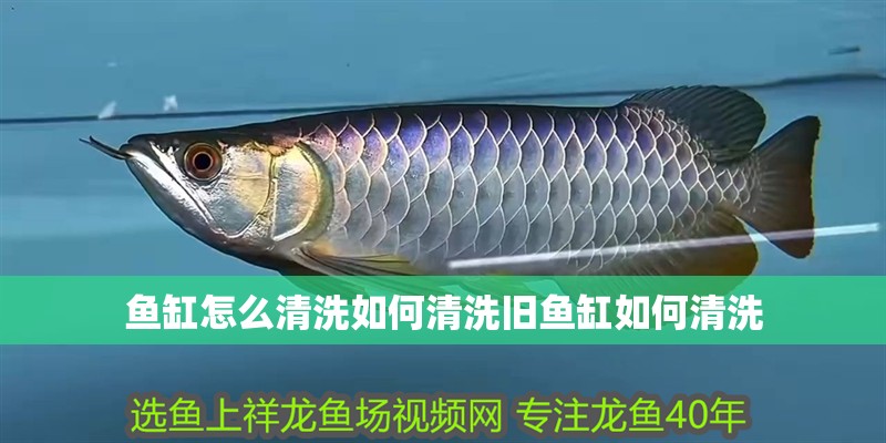 魚缸怎么清洗如何清洗舊魚缸如何清洗