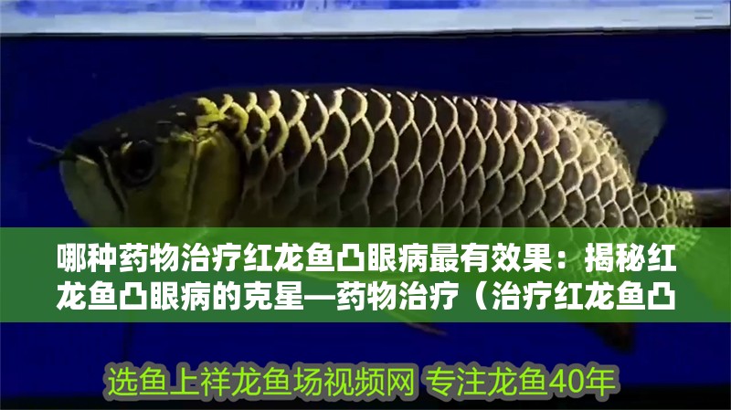 哪種藥物治療紅龍魚(yú)凸眼病最有效果：揭秘紅龍魚(yú)凸眼病的克星—藥物治療（治療紅龍魚(yú)凸眼病的方法）