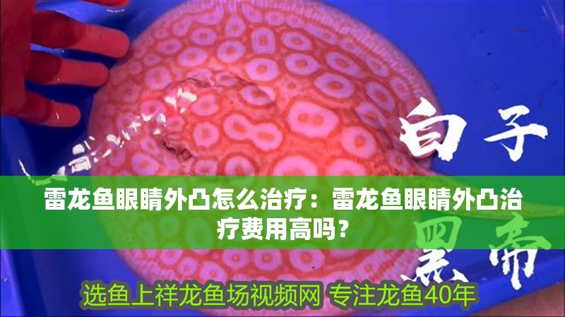 雷龍魚眼睛外凸怎么治療：雷龍魚眼睛外凸治療費(fèi)用高嗎？
