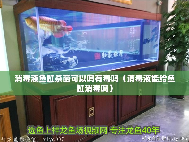 消毒液魚缸殺菌可以嗎有毒嗎（消毒液能給魚缸消毒嗎）