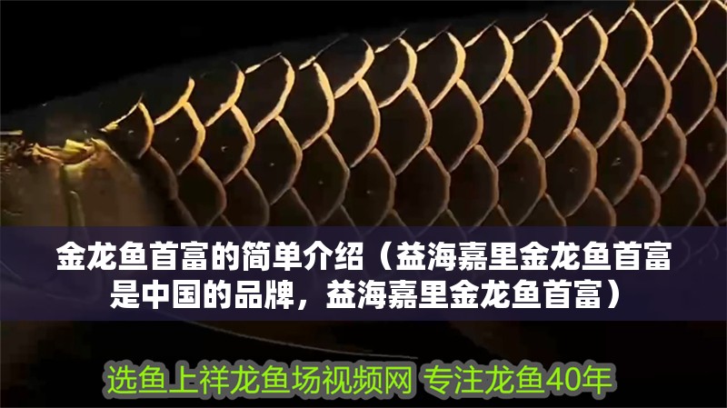 金龍魚首富的簡單介紹（益海嘉里金龍魚首富是中國的品牌，益海嘉里金龍魚首富）