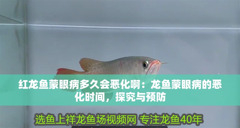 紅龍魚蒙眼病多久會惡化啊：龍魚蒙眼病的惡化時間，探究與預防