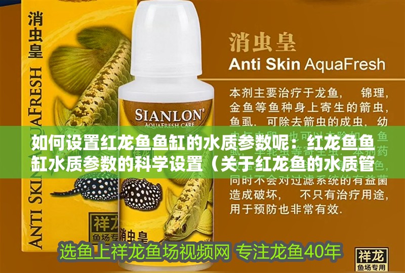如何設置紅龍魚魚缸的水質參數呢：紅龍魚魚缸水質參數的科學設置（關于紅龍魚的水質管理） 如何設置紅龍魚魚缸的水質參數呢：紅龍魚魚缸水質參數的科學設置（關于紅龍魚的水質管理） 水族問答
