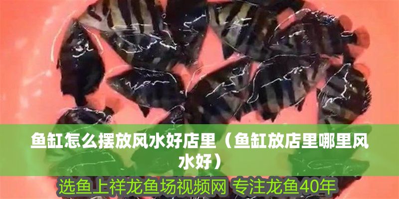 魚缸怎么擺放風水好店里（魚缸放店里哪里風水好）
