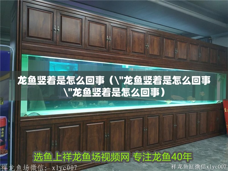 魚缸過(guò)濾器選購(gòu)指南:自制魚缸過(guò)濾器魚缸上置過(guò)濾器對(duì)于養(yǎng)魚愛好者的必備知識(shí) 龍魚豎著是怎么回事(\ 龍魚豎著是怎么回事( 龍魚豎著是怎么回事(\