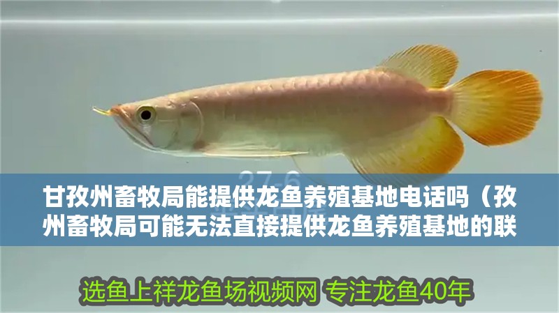 <strong><mark>甘孜州</mark></strong>畜牧局能提供龍魚養殖基地電話嗎（孜州畜牧局可能無法直接提供龍魚養殖基地的聯系電話）
