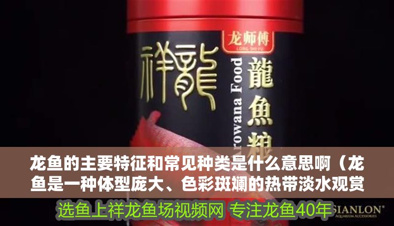 龍魚的主要特征和常見種類是什么意思啊（龍魚是一種體型龐大、色彩斑斕的熱帶淡水觀賞魚其主要特征）