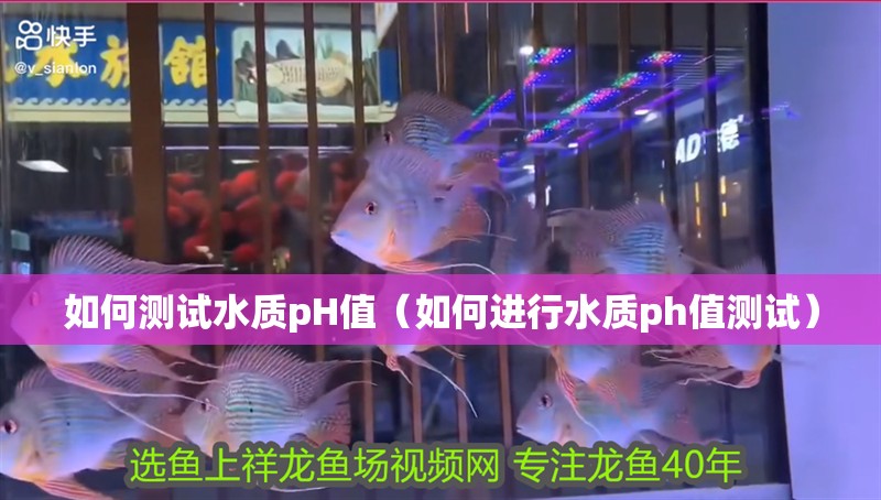 如何測試水質pH值（如何進行水質ph值測試）