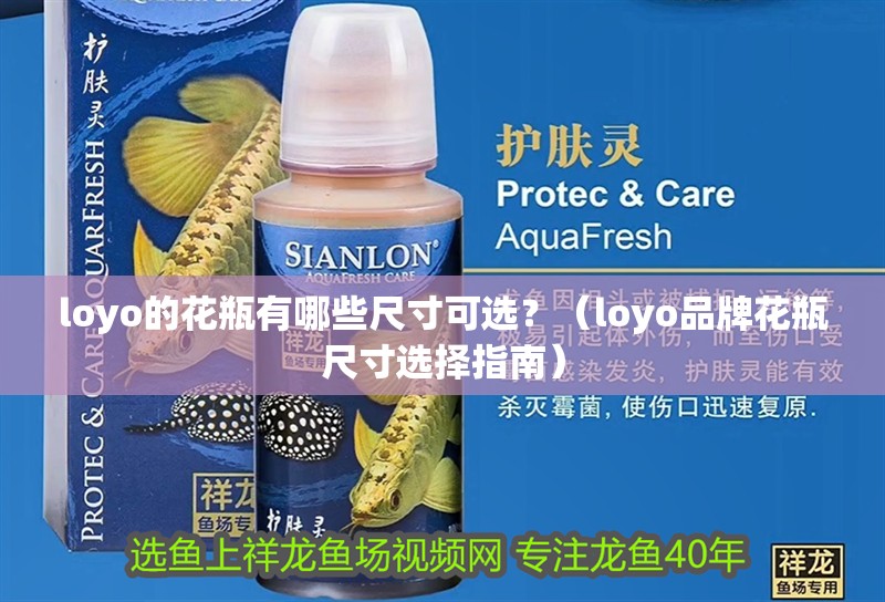 loyo的花瓶有哪些尺寸可選？（loyo品牌花瓶尺寸選擇指南） loyo的花瓶有哪些尺寸可選？（loyo品牌花瓶尺寸選擇指南） 龍魚百科