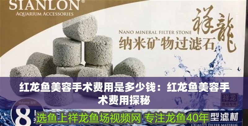 紅龍魚美容手術費用是多少錢：紅龍魚美容手術費用探秘
