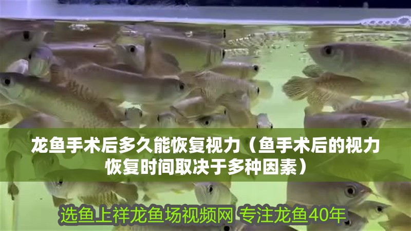 魚缸用增氧泵價格是多少:魚缸增氧機-xtrac增氧機-xtrac增氧機 龍魚手術后多久能恢復視力(魚手術后的視力恢復時間取決于多種因素) 龍魚百科 龍魚手術后多久能恢復視力(魚手術后的視力恢復時間取決于多種因素) 龍魚手術后多久能恢復視力(魚手術后的視力恢復時間取決于多種因素) 龍魚百科