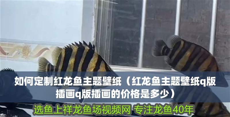 如何定制紅龍魚主題壁紙（紅龍魚主題壁紙q版插畫q版插畫的價格是多少）