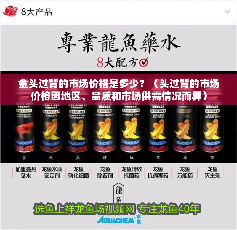 金頭過背的市場價格是多少？（頭過背的市場價格因地區、品質和市場供需情況而異）