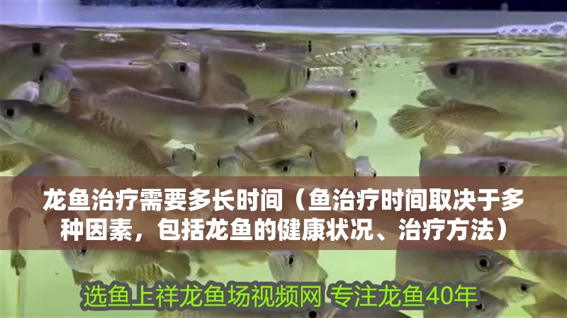 龍魚治療需要多長(zhǎng)時(shí)間（魚治療時(shí)間取決于多種因素，包括龍魚的健康狀況、治療方法） 龍魚治療需要多長(zhǎng)時(shí)間（魚治療時(shí)間取決于多種因素，包括龍魚的健康狀況、治療方法） 龍魚百科