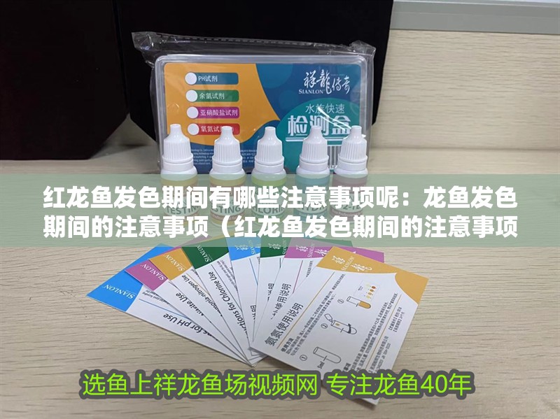 紅龍魚發色期間有哪些注意事項呢：龍魚發色期間的注意事項（紅龍魚發色期間的注意事項，）