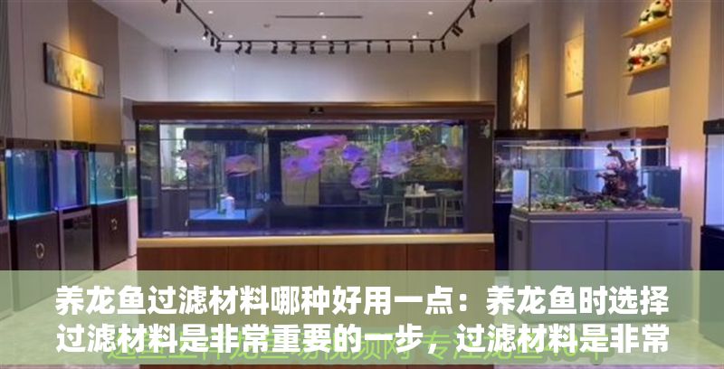 養(yǎng)龍魚過(guò)濾材料哪種好用一點(diǎn)：養(yǎng)龍魚時(shí)選擇過(guò)濾材料是非常重要的一步，過(guò)濾材料是非常重要的一步