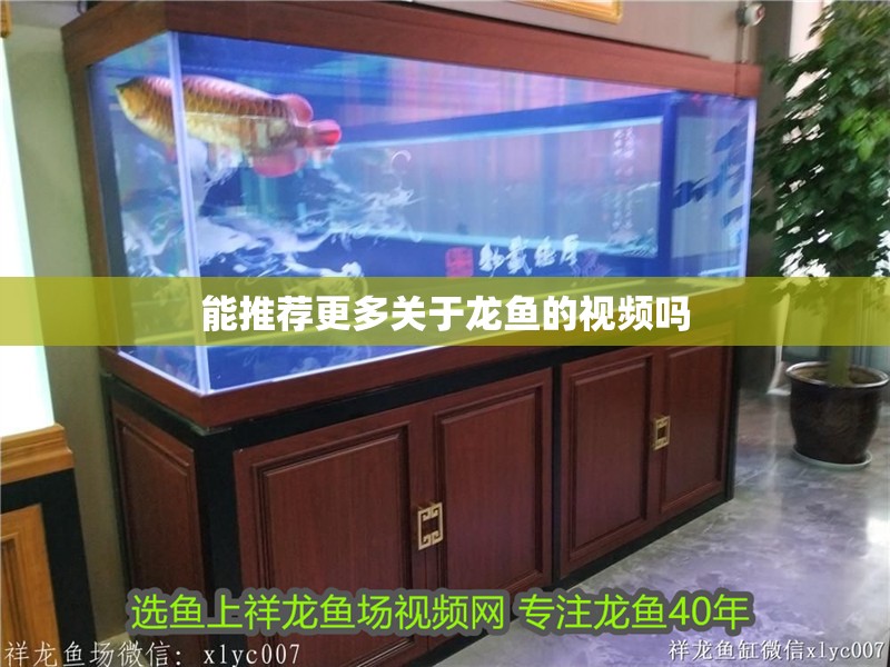 能推薦更多關于龍魚的視頻嗎