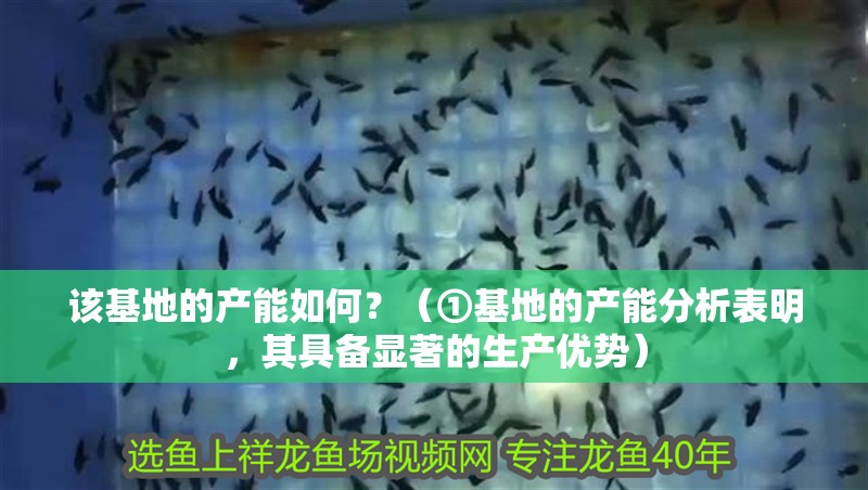 該基地的產(chǎn)能如何？（①基地的產(chǎn)能分析表明，其具備顯著的生產(chǎn)優(yōu)勢(shì)）