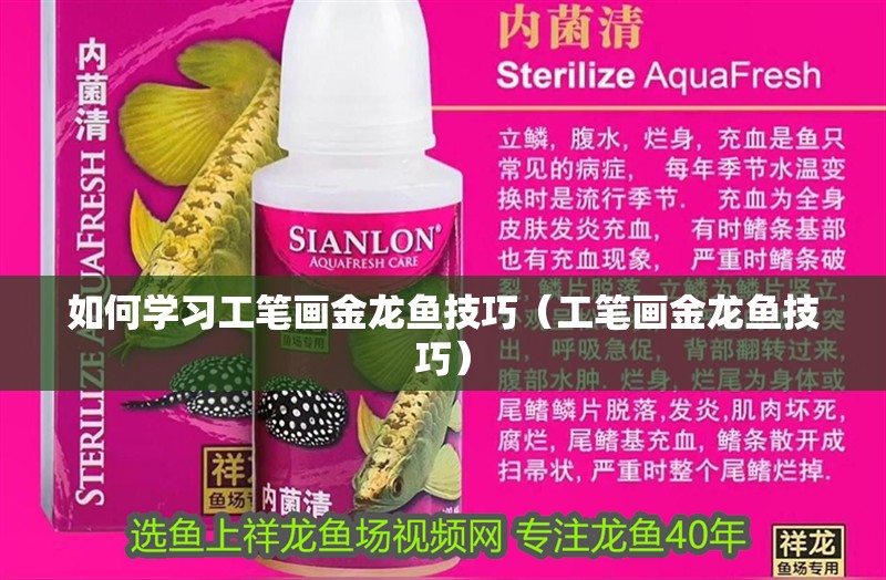 虎魚天天黑來點(diǎn)赤瞳黃金 如何學(xué)習(xí)工筆畫金龍魚技巧(工筆畫金龍魚技巧) 龍魚百科 如何學(xué)習(xí)工筆畫金龍魚技巧(工筆畫金龍魚技巧) 如何學(xué)習(xí)工筆畫金龍魚技巧(工筆畫金龍魚技巧) 龍魚百科