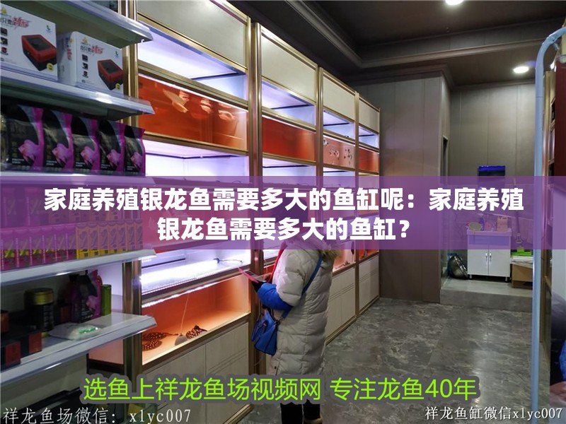 家庭養殖銀龍魚需要多大的魚缸呢：家庭養殖銀龍魚需要多大的魚缸？