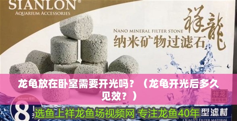 龍龜放在臥室需要開光嗎？（龍龜開光后多久見效？） 龍龜放在臥室需要開光嗎？（龍龜開光后多久見效？） 觀賞魚百科