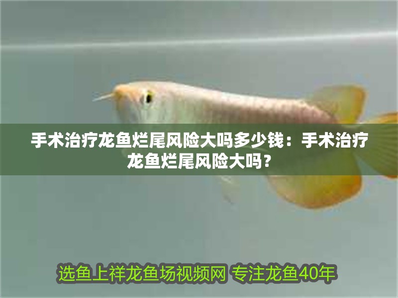 手術治療龍魚爛尾風險大嗎多少錢：手術治療龍魚爛尾風險大嗎？