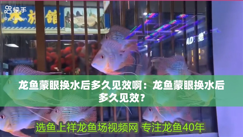 龍魚蒙眼換水后多久見效啊：龍魚蒙眼換水后多久見效？