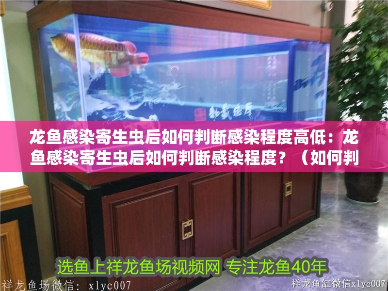 龍魚感染寄生蟲后如何判斷感染程度高低：龍魚感染寄生蟲后如何判斷感染程度？（如何判斷龍魚感染寄生蟲）