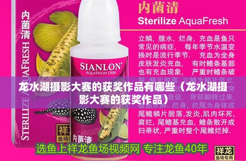 龍水湖攝影大賽的獲獎作品有哪些（龍水湖攝影大賽的獲獎作品）