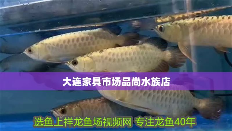 大連家具市場(chǎng)品尚水族店