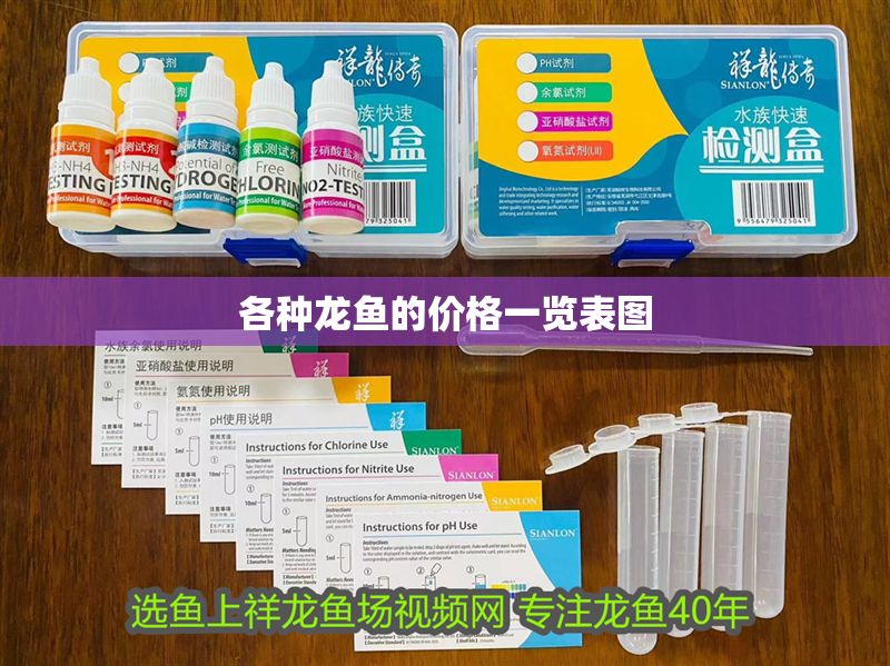 各種龍魚的價格一覽表圖 各種龍魚的價格一覽表圖 龍魚百科 第1張
