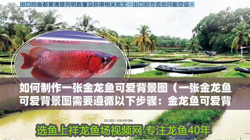 如何制作一張金龍魚可愛背景圖（一張金龍魚可愛背景圖需要遵循以下步驟：金龍魚可愛背景圖）