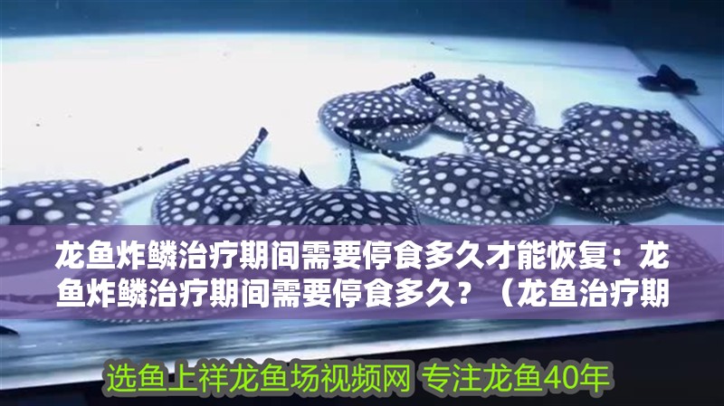 龍魚(yú)炸鱗治療期間需要停食多久才能恢復(fù)：龍魚(yú)炸鱗治療期間需要停食多久？（龍魚(yú)治療期間的飲食管理）
