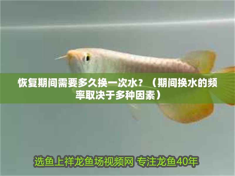恢復(fù)期間需要多久換一次水？（期間換水的頻率取決于多種因素）