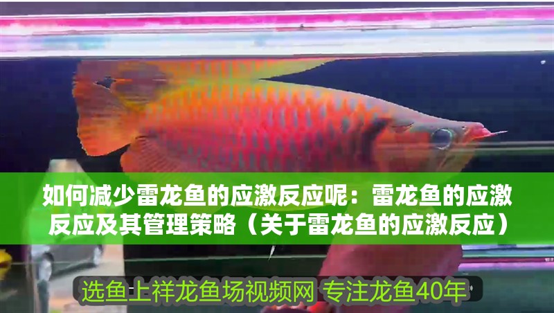 如何減少雷龍魚的應激反應呢：雷龍魚的應激反應及其管理策略（關于雷龍魚的應激反應） 如何減少雷龍魚的應激反應呢：雷龍魚的應激反應及其管理策略（關于雷龍魚的應激反應） 水族問答