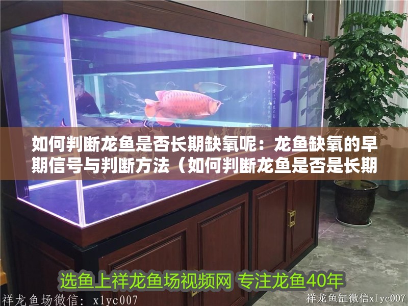 如何判斷龍魚是否長期缺氧呢：龍魚缺氧的早期信號與判斷方法（如何判斷龍魚是否是長期缺氧）