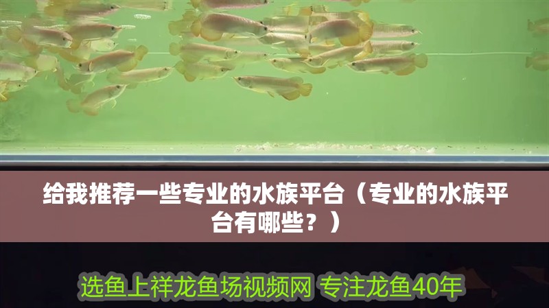 給我推薦一些專業的水族平臺（專業的水族平臺有哪些？）