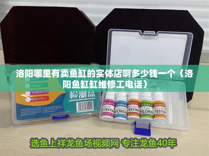 洛陽哪里有賣魚缸的實體店啊多少錢一個(洛陽魚缸缸維修工電話) 全國水族館企業(yè)名錄 第1張 洛陽哪里有賣魚缸的實體店啊多少錢一個(洛陽魚缸缸維修工電話) 洛陽哪里有賣魚缸的實體店啊多少錢一個(洛陽魚缸缸維修工電話) 全國水族館企業(yè)名錄 第1張
