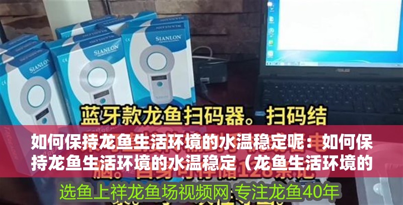 如何保持龍魚生活環(huán)境的水溫穩(wěn)定呢：如何保持龍魚生活環(huán)境的水溫穩(wěn)定（龍魚生活環(huán)境的水溫穩(wěn)定對(duì)于龍魚的健康和生活環(huán)境的影響）