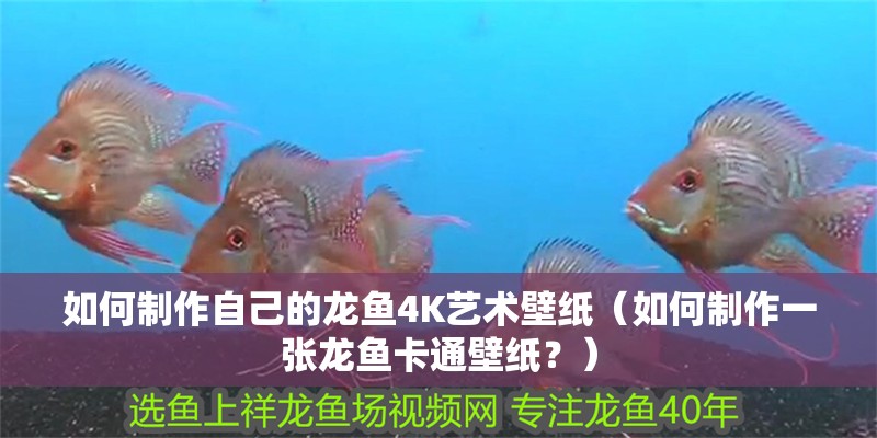 如何制作自己的龍魚4K藝術(shù)壁紙（如何制作一張龍魚卡通壁紙？） 如何制作自己的龍魚4K藝術(shù)壁紙（如何制作一張龍魚卡通壁紙？） 龍魚百科