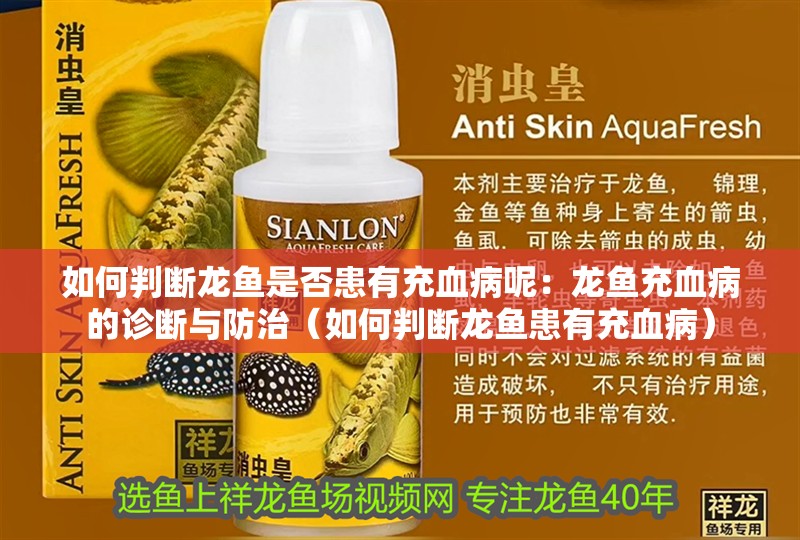 如何判斷龍魚是否患有充血病呢：龍魚充血病的診斷與防治（如何判斷龍魚患有充血病）